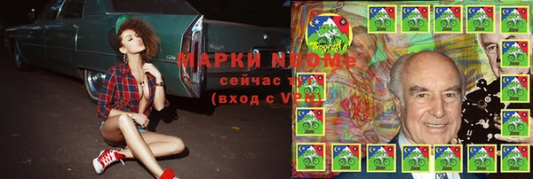 ГАЛЛЮЦИНОГЕННЫЕ ГРИБЫ Аркадак
