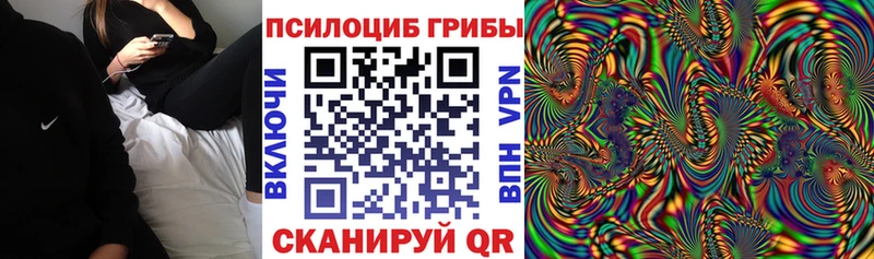 Псилоцибиновые грибы мухоморы  купить   Шуя 